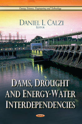 Dams, Drought & Energy-Water Interdependencies - Agenda Bookshop