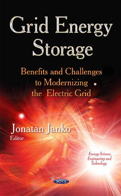 Grid Energy Storage: Benefits & Challenges to Modernizing  the Electric Grid - Agenda Bookshop