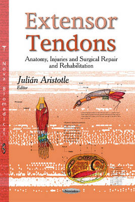 Extensor Tendons: Anatomy, Injuries & Surgical Repair & Rehabilitation - Agenda Bookshop
