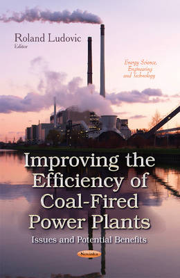 Improving the Efficiency of Coal-Fired Power Plants: Issues & Potential Benefits - Agenda Bookshop