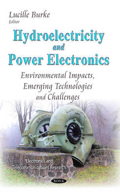 Hydroelectricity & Power Electronics: Environmental Impacts, Emerging Technologies & Challenges - Agenda Bookshop