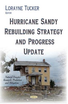 Hurricane Sandy Rebuilding Strategy & Progress Update - Agenda Bookshop
