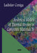 Analytical Models of Thermal Stresses in Composite Materials IV - Agenda Bookshop