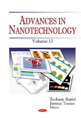 Advances in Nanotechnology: Volume 13 - Agenda Bookshop