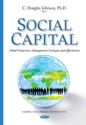 Social Capital: Global Perspectives, Management Strategies & Effectiveness - Agenda Bookshop