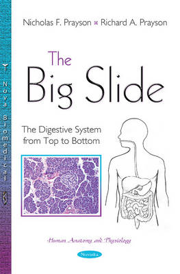 The Big Slide: The Digestive System from Top to Bottom - Agenda Bookshop