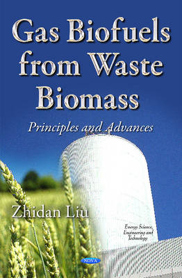 Gas Biofuels from Waste Biomass: Principles & Advances - Agenda Bookshop