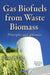 Gas Biofuels from Waste Biomass: Principles & Advances - Agenda Bookshop