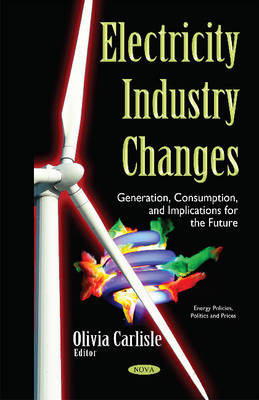 Electricity Industry Changes: Generation, Consumption, & Implications for the Future - Agenda Bookshop