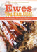 Ewes You Can Use! Food Diary Journal / Planner - Agenda Bookshop