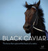 Black Caviar: The Horse That Captured the Hearts of a Nation - Agenda Bookshop