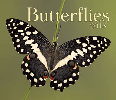 Butterflies: 2018 - Agenda Bookshop