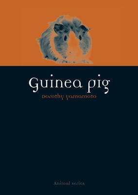 Guinea Pig - Agenda Bookshop