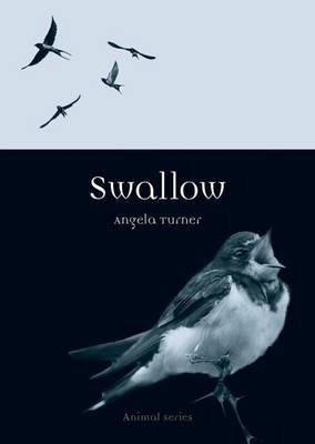 Swallow - Agenda Bookshop