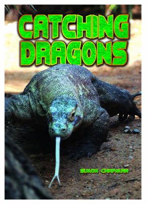 Catching Dragons - Agenda Bookshop