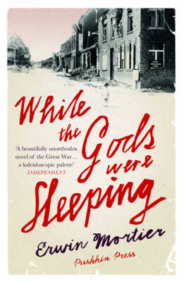 While the Gods Were Sleeping - Agenda Bookshop