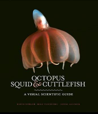 Octopus, Squid & Cuttlefish: The worldwide illustrated guide to cephalopods - Agenda Bookshop