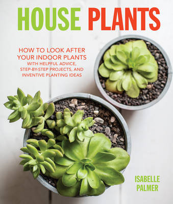 House Plants: How to Look After Your Indoor Plants: with Helpful Advice, Step-by-Step Projects, and Inventive Planting Ideas - Agenda Bookshop