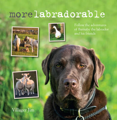 Morelabradorable: Follow the Adventures of Barnaby the Labrador and His Friends - Agenda Bookshop