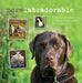 Morelabradorable: Follow the Adventures of Barnaby the Labrador and His Friends - Agenda Bookshop