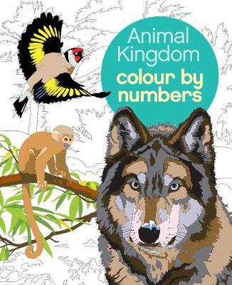 Animal Kingdom Colour by Numbers - Agenda Bookshop