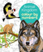 Animal Kingdom Colour by Numbers - Agenda Bookshop