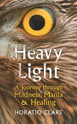 Heavy Light: A Journey Through Madness, Mania and Healing - Agenda Bookshop