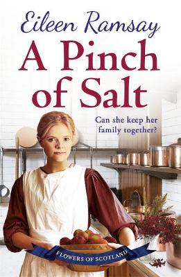 A Pinch of Salt: Escape to the Highlands with a story of love, loss and family this Christmas - Agenda Bookshop