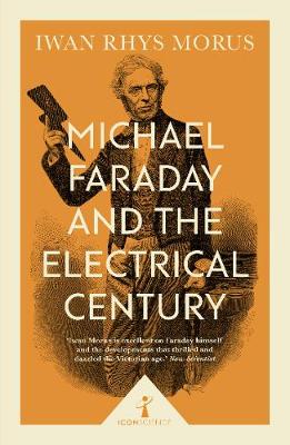 Michael Faraday and the Electrical Century (Icon Science) - Agenda Bookshop