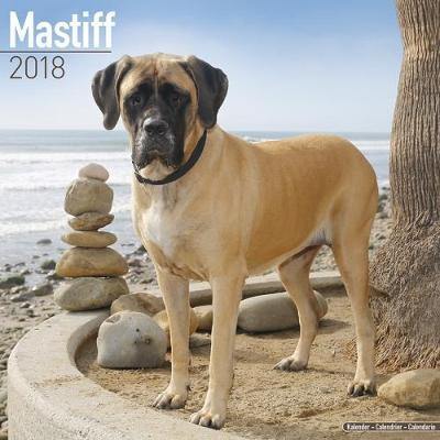 Mastiff Calendar 2018 - Agenda Bookshop