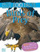 100 Facts Birds of Prey Pocket Edition - Agenda Bookshop