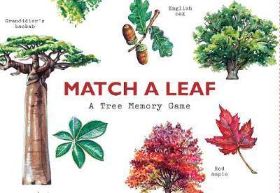 Match a Leaf: A Tree Memory Game - Agenda Bookshop