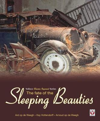 The Fate of the Sleeping Beauties - Agenda Bookshop