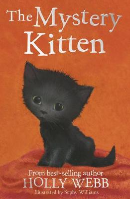 The Mystery Kitten - Agenda Bookshop