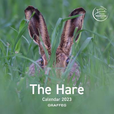 The Hare Calendar 2023 - Agenda Bookshop