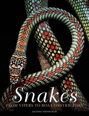 Snakes: From Vipers to Boa Constrictors - Agenda Bookshop