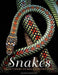 Snakes: From Vipers to Boa Constrictors - Agenda Bookshop