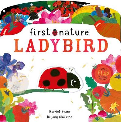Ladybird - Agenda Bookshop
