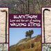 Blackthorn Lore and the Art of Making Walking Sticks - Agenda Bookshop