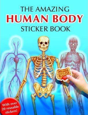 Human Body Sticker Book - Agenda Bookshop
