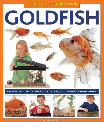 How to Look After Your Goldfish - Agenda Bookshop