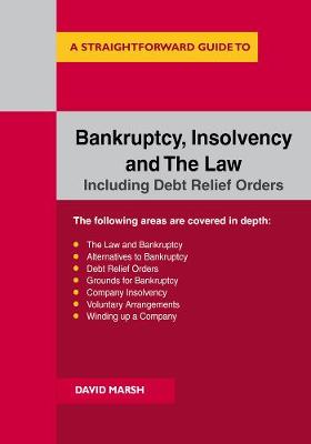 Bankruptcy Insolvency And The Law: A Straightforward Guide - Agenda Bookshop