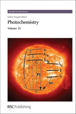 Photochemistry: Volume 38 - Agenda Bookshop