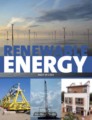 Renewable Energy: A User''s Guide - Agenda Bookshop