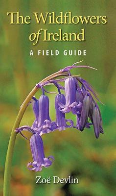 The Wildflowers of Ireland: A Field Guide - Agenda Bookshop