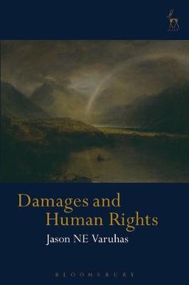 Damages and Human Rights - Agenda Bookshop