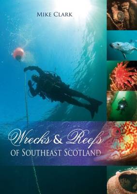 Wrecks & Reefs of Southeast Scotland: 100 Dives from the Forth Road Bridge to Eyemouth - Agenda Bookshop