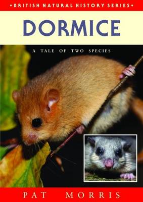 Dormice: A Tale of Two Species - Agenda Bookshop