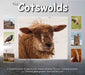 The Cotswolds: A Treasure Trove of Spectacular Images Showing the Ever-changing Seasons, by Cotswold Photographer Nicholas Reardon - Agenda Bookshop