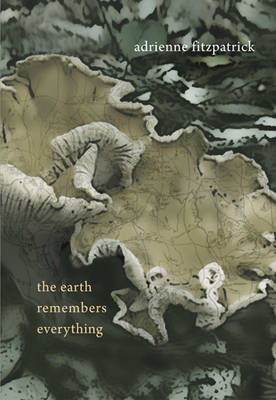 The Earth Remembers Everything - Agenda Bookshop